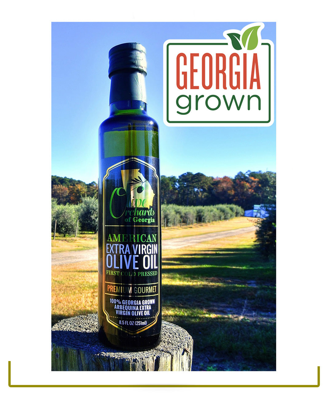 Georgia Olive Oil